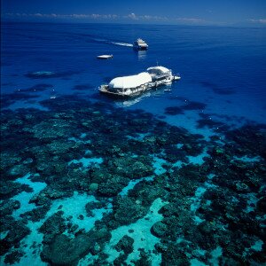 Image of Great Barrier Reef pontoon